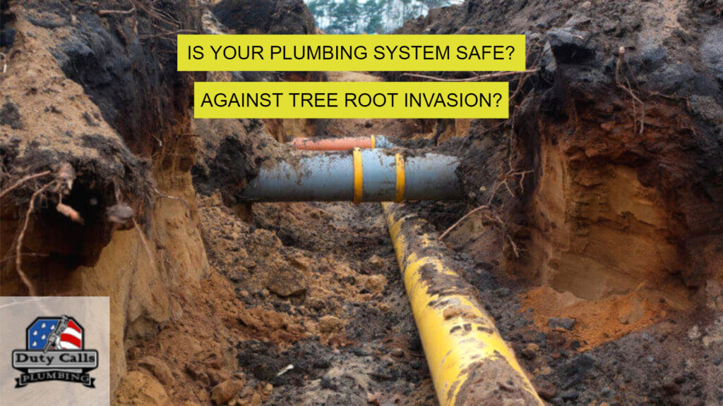 Tree root invasion on plumbing pipes